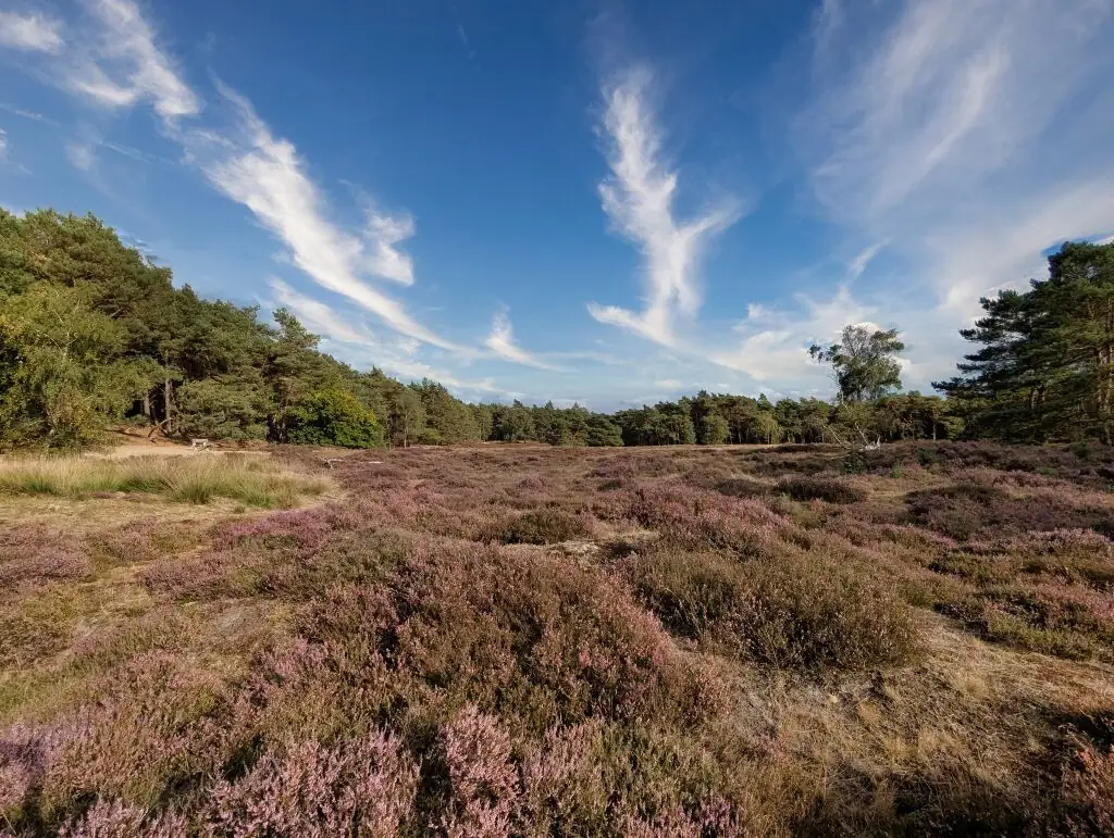 Natuur Wandeling Heidestein