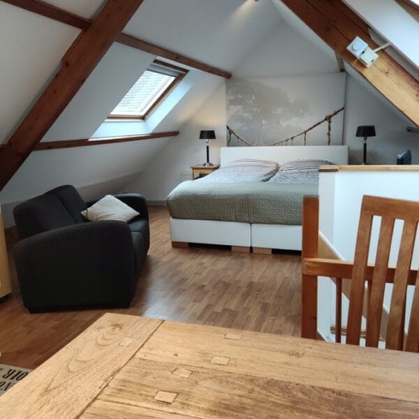 Ruime studio boven met eettafel en zithoek